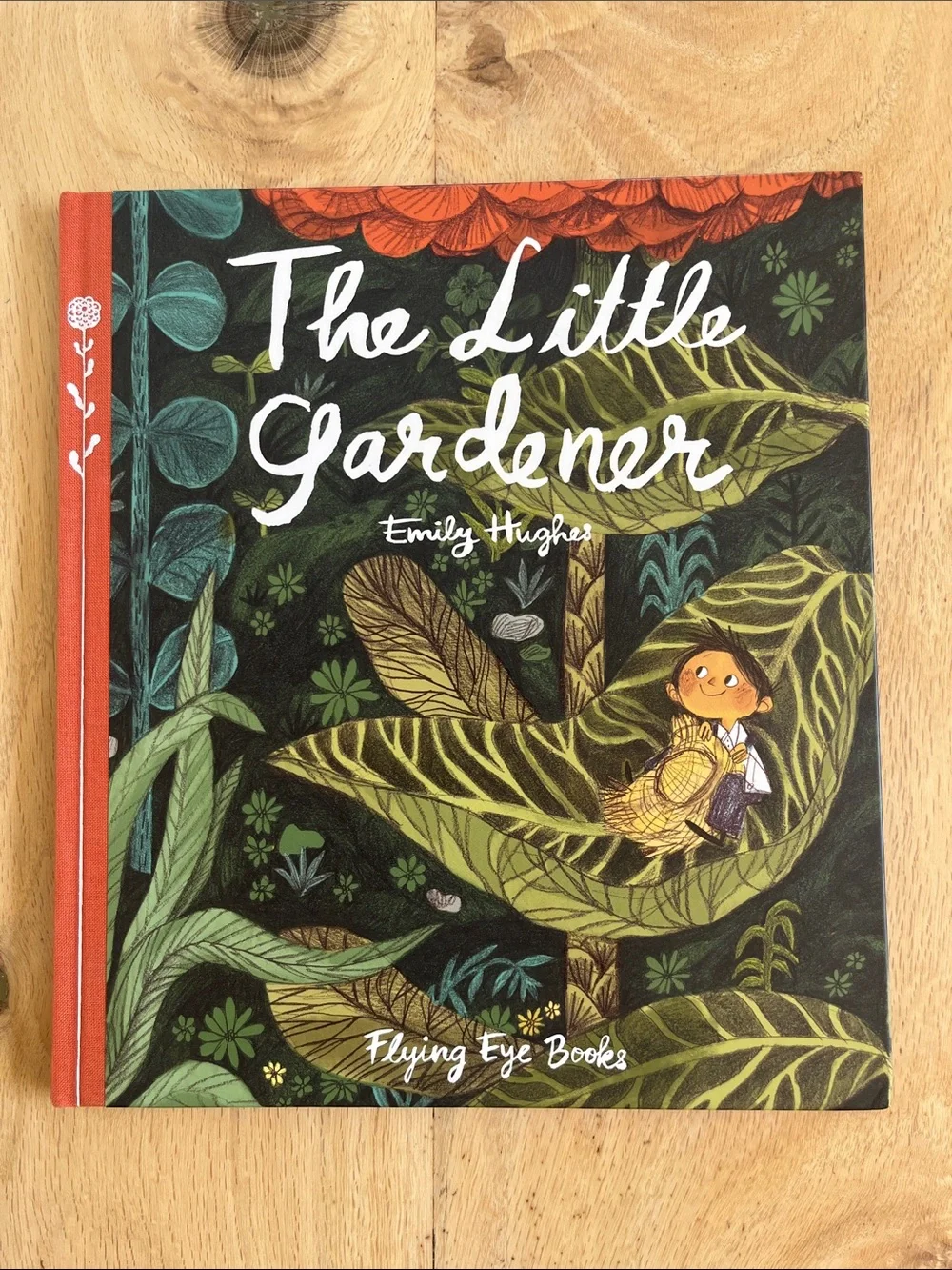 Beautiful Collection of 4 Children’s Books